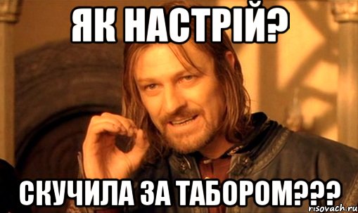 Як настрій? Скучила за табором???, Мем Нельзя просто так взять и (Боромир мем)