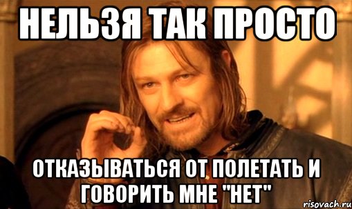 нельзя так просто отказываться от полетать и говорить мне "нет", Мем Нельзя просто так взять и (Боромир мем)