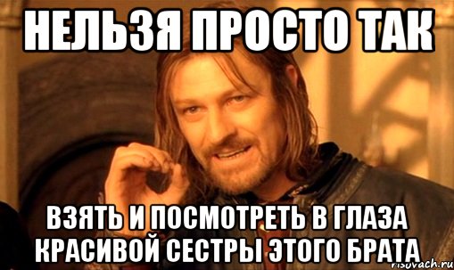 нельзя просто так взять и посмотреть в глаза красивой сестры этого брата, Мем Нельзя просто так взять и (Боромир мем)