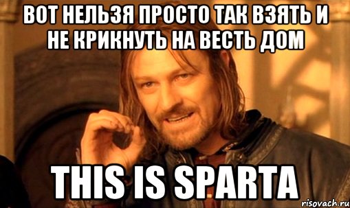 Вот нельзя просто так взять и не крикнуть на весть дом THIS IS SPARTA, Мем Нельзя просто так взять и (Боромир мем)