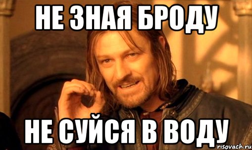 не зная броду не суйся в воду, Мем Нельзя просто так взять и (Боромир мем)