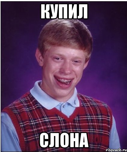 КУПИЛ СЛОНА