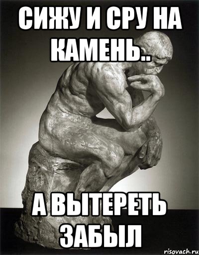 Сижу и сру на камень.. А вытереть забыл, Мем NOT SURE