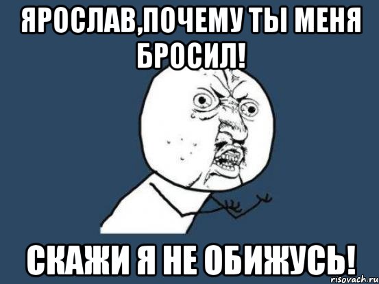 Ярослав,почему ты меня бросил! Скажи я не обижусь!, Мем Ну почему