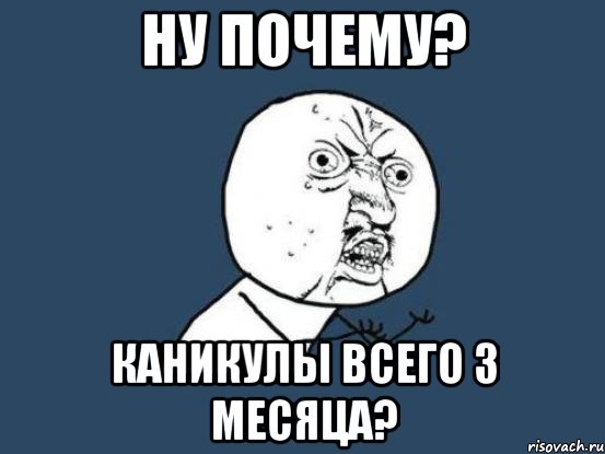 Ну почему? Каникулы всего 3 месяца?, Мем Ну почему