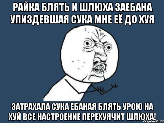 райка блять и шлюха заебана упиздевшая сука мне её до хуя затрахала сука ебаная блять урою на хуй все настроение перехуячит шлюха!, Мем Ну почему