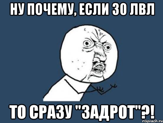 Ну почему, если 30 лвл То сразу "задрот"?!, Мем Ну почему