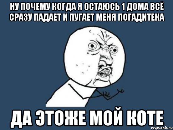 ну почему когда я остаюсь 1 дома всё сразу падает и пугает меня погадитека да этоже мой коте, Мем Ну почему