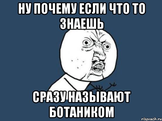 ну почему если что то знаешь сразу называют ботаником, Мем Ну почему