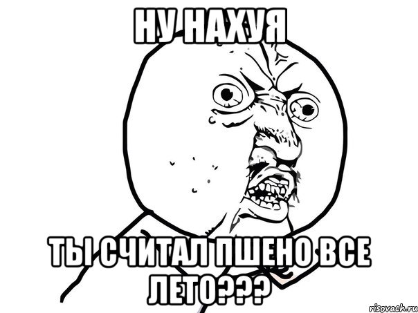 ну нахуя ты считал пшено все лето???, Мем Ну почему (белый фон)