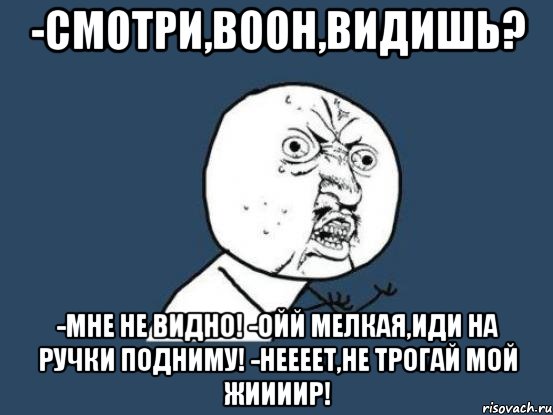 -Смотри,воон,видишь? -Мне не видно! -Ойй мелкая,иди на ручки подниму! -НЕЕЕЕТ,НЕ ТРОГАЙ МОЙ ЖИИИИР!, Мем Ну почему