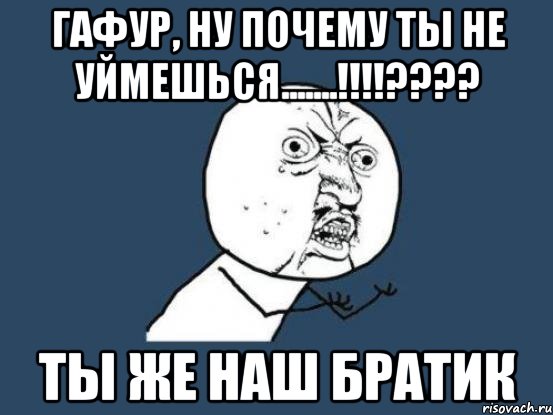 Гафур, ну почему ты не уймешься.......!!!!???? Ты же наш братик, Мем Ну почему