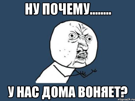 Ну почему........ у нас дома воняет?, Мем Ну почему