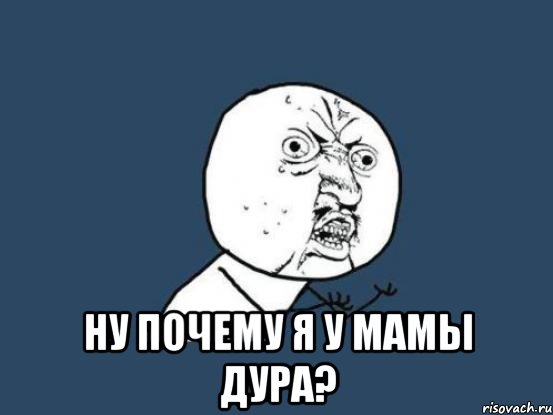  Ну почему я у мамы дура?, Мем Ну почему