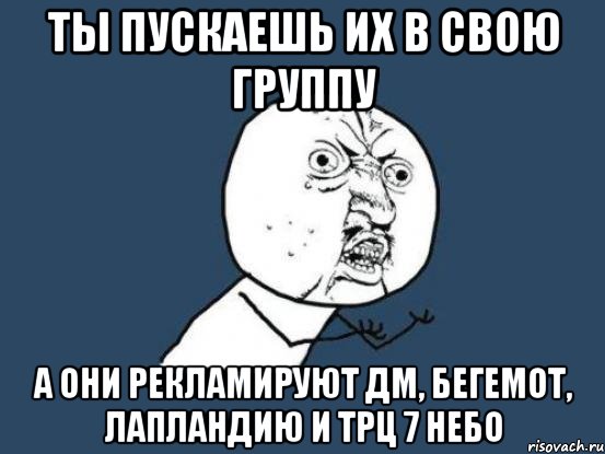 Ты пускаешь их в свою группу а они рекламируют ДМ, Бегемот, Лапландию и ТРЦ 7 небо, Мем Ну почему