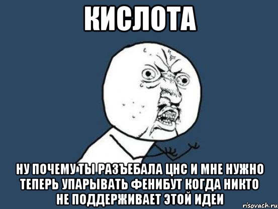 кислота ну почему ты разъебала цнс и мне нужно теперь упарывать фенибут когда никто не поддерживает этой идеи, Мем Ну почему