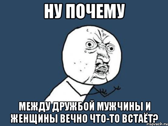 Ну почему между дружбой мужчины и женщины вечно что-то встаёт?, Мем Ну почему