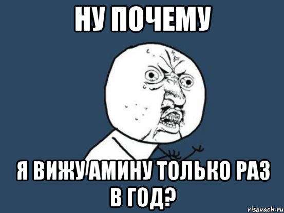 Ну почему я вижу Амину только раз в год?, Мем Ну почему