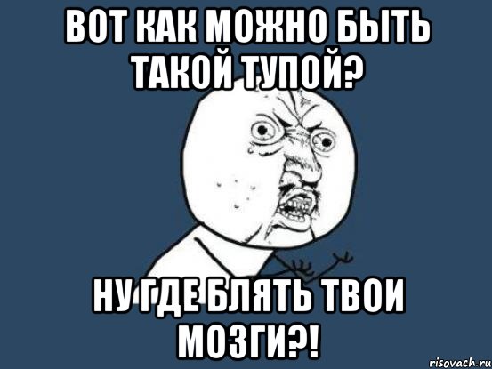 Вот как можно быть такой тупой? Ну где блять твои мозги?!, Мем Ну почему