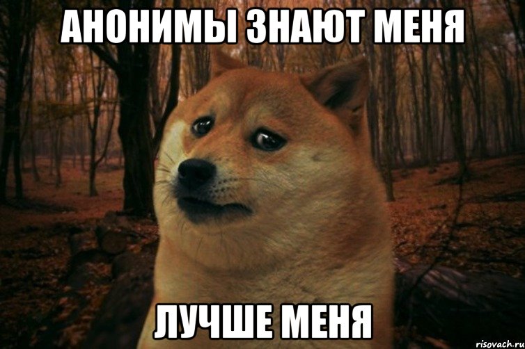 Анонимы знают меня Лучше меня, Мем SAD DOGE