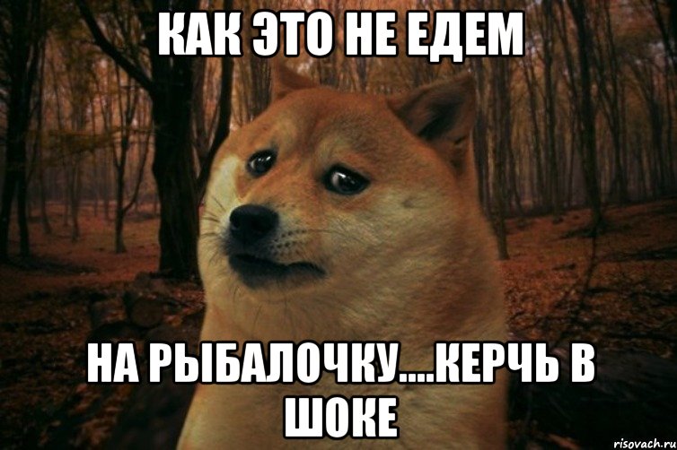 Как это не едем На рыбалочку....Керчь в шоке, Мем SAD DOGE