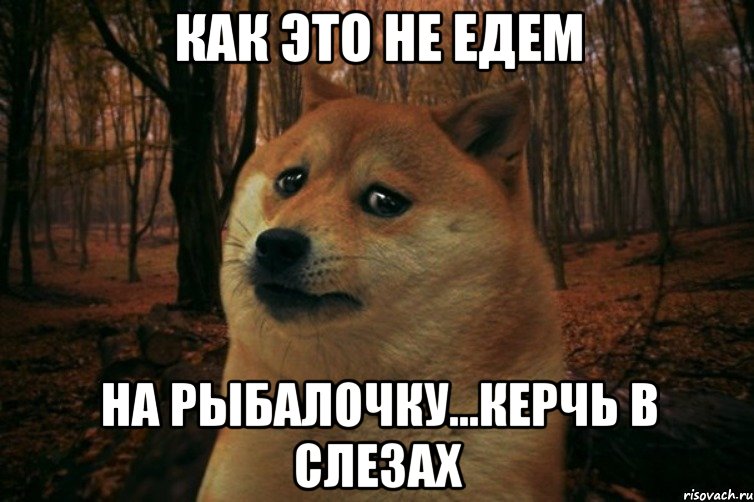 Как это не едем На рыбалочку...Керчь в слезах, Мем SAD DOGE