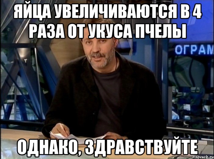 Яйца увеличиваются в 4 раза от укуса пчелы Однако, здравствуйте, Мем Однако Здравствуйте