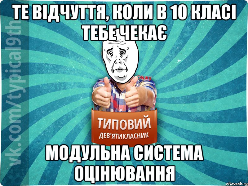 ТЕ ВІДЧУТТЯ, КОЛИ В 10 КЛАСІ ТЕБЕ ЧЕКАЄ МОДУЛЬНА СИСТЕМА ОЦІНЮВАННЯ, Мем okay