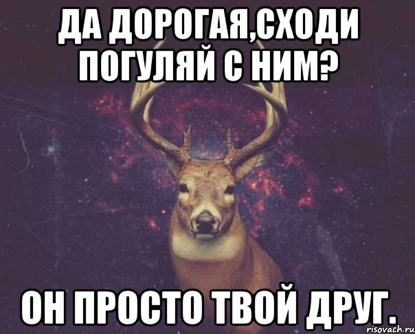 Да дорогая,сходи погуляй с ним? Он просто твой друг., Мем  олень наивный