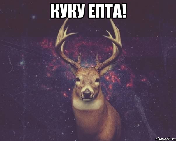 Куку епта! 