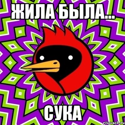 жила была... сука, Мем Омская птица