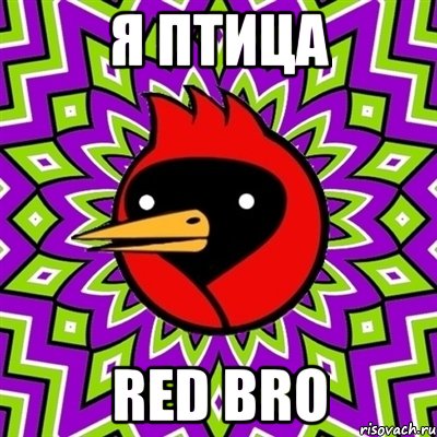 я птица Red Bro, Мем Омская птица