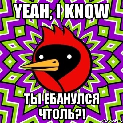 Yeah, I know Ты ебанулся чтоль?!, Мем Омская птица