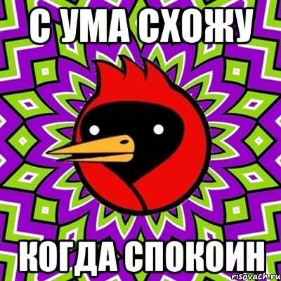 с ума схожу когда спокоин, Мем Омская птица