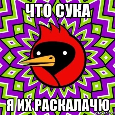 что сука я их раскалачю, Мем Омская птица