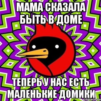 мама сказала быть в доме теперь у нас есть маленькие домики, Мем Омская птица