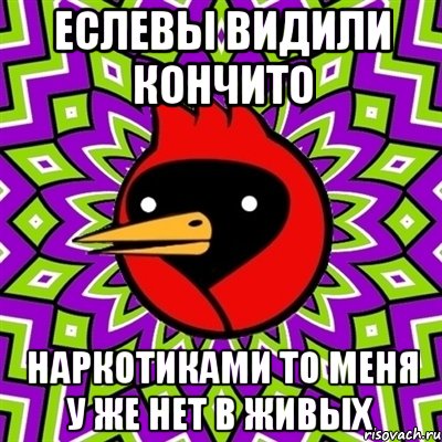 еслевы видили кончито наркотиками то меня у же нет в живых, Мем Омская птица