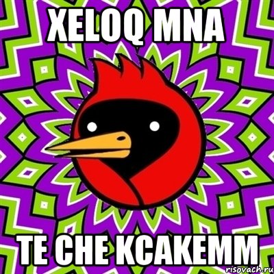 Xeloq mna te che kcakemm, Мем Омская птица