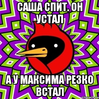 Саша спит. Он устал А у Максима резко встал, Мем Омская птица