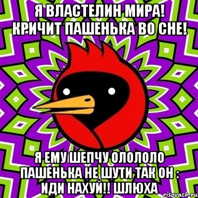 Я властелин мира! Кричит пашенька во сне! я ему шепчу Олололо пашенька не шути так он : ИДИ НАХУЙ!! ШЛЮХА, Мем Омская птица