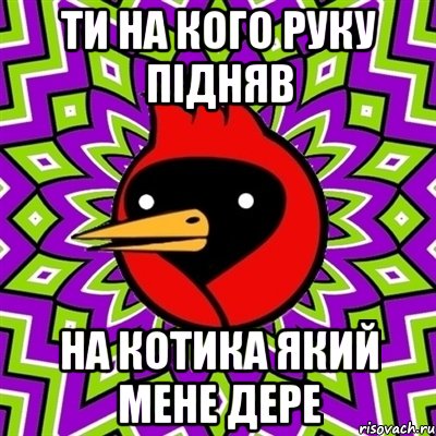 ти на кого руку підняв на котика який мене дере, Мем Омская птица