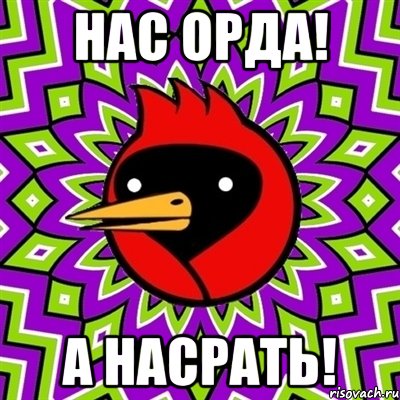 Нас орда! А насрать!, Мем Омская птица