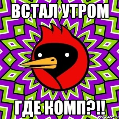 Встал утром ГДЕ КОМП?!!, Мем Омская птица