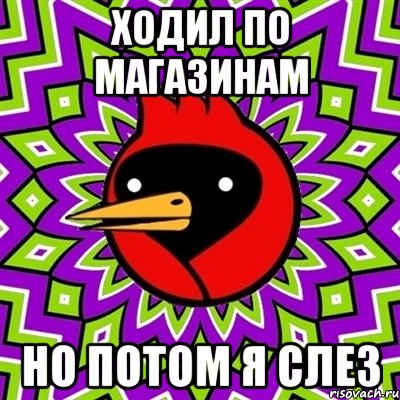 Ходил по магазинам Но потом я слез, Мем Омская птица