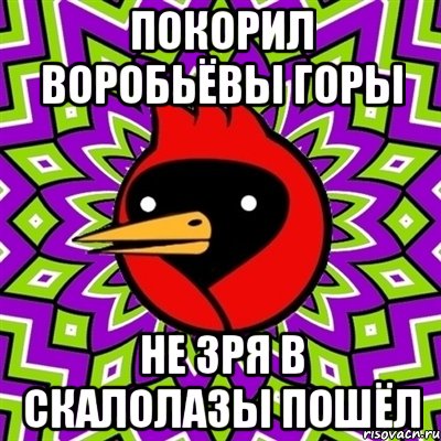 покорил воробьёвы горы не зря в скалолазы пошёл, Мем Омская птица