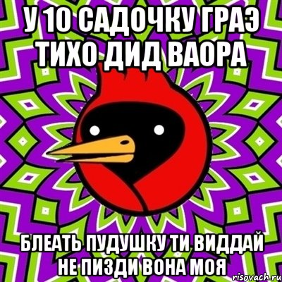 У 10 садочку граэ тихо дид ваора Блеать пудушку ти виддай не пизди вона моя, Мем Омская птица