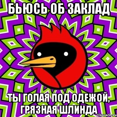 бьюсь об заклад ты голая под одежой, грязная шлинда, Мем Омская птица