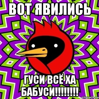 ВОТ ЯВИЛИСЬ ГУСИ ВСЁ ХА БАБУСИ!!!!!!!!, Мем Омская птица