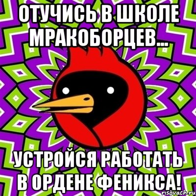 Отучись в школе мракоборцев... Устройся работать в Ордене Феникса!, Мем Омская птица