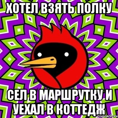 Хотел взять полку Сел в маршрутку и уехал в коттедж, Мем Омская птица